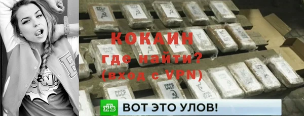 шишки Вяземский