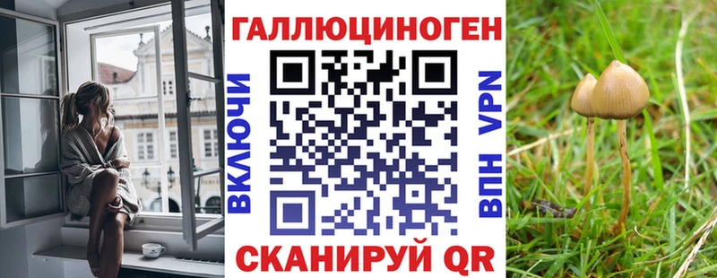 Купить  Кубинка  Галлюциногенные грибы мухоморы 